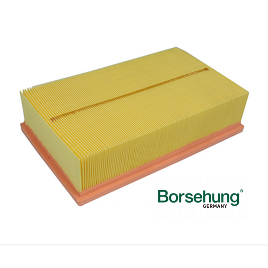 Filtro De Aire Motor Borsehung