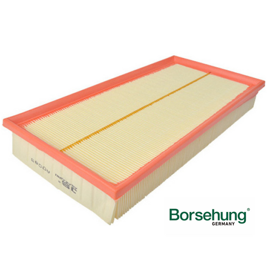 Filtro De Aire Motor Borsehung